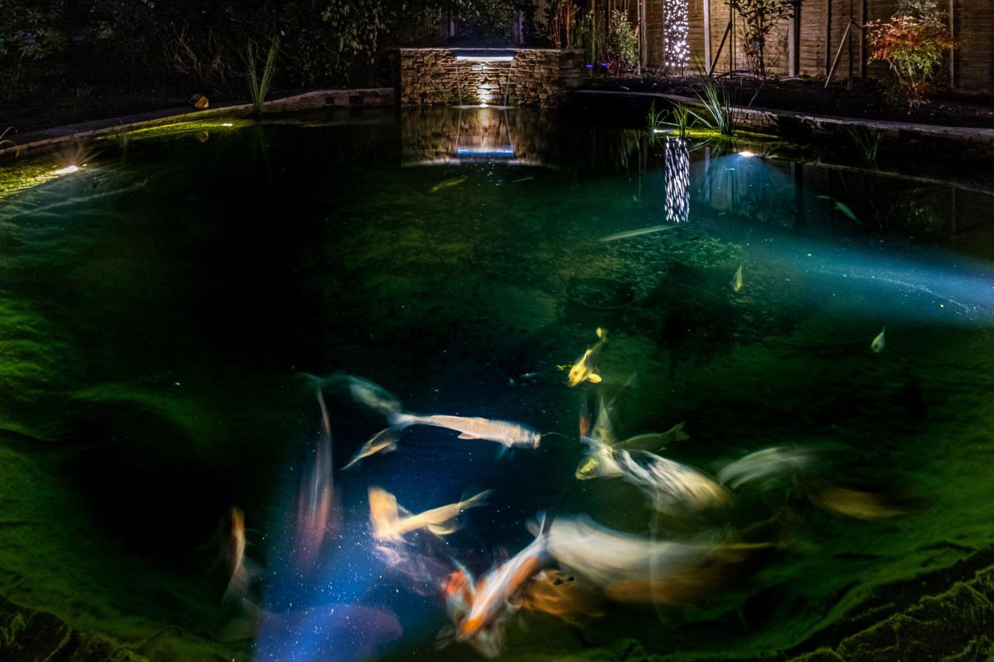 Asperion Hillside Hotel ギルフォード エクステリア 写真